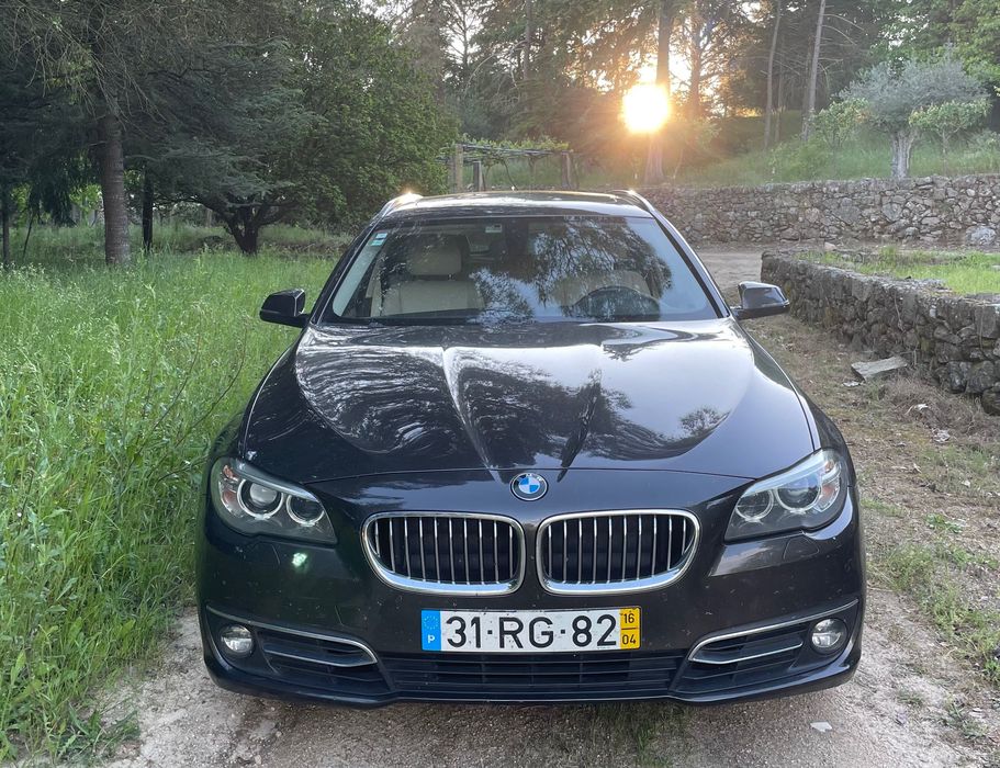 Bmw 530d 6 cilindros 265cv
