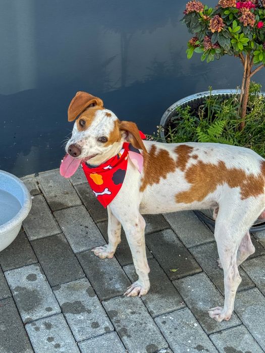 Otávio - 3 anos, 10kg