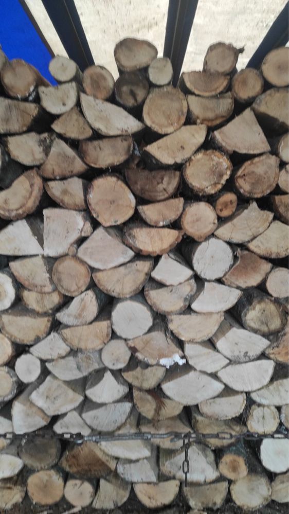 Купить дрова из дуба, березы, ольхи и сосны. Колотые, метровки, чурки.