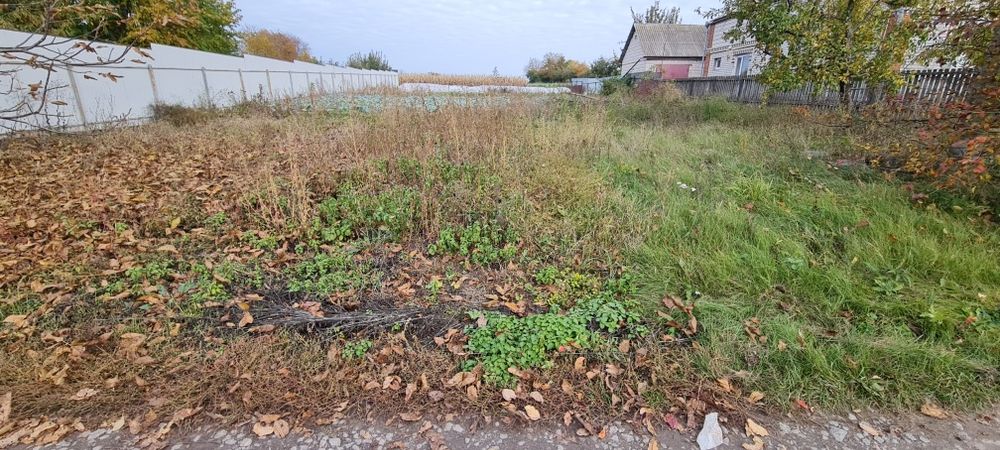 Земельна ділянка