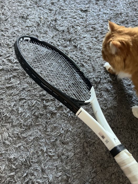 Raquete de Ténis HEAD Speed Team 2022