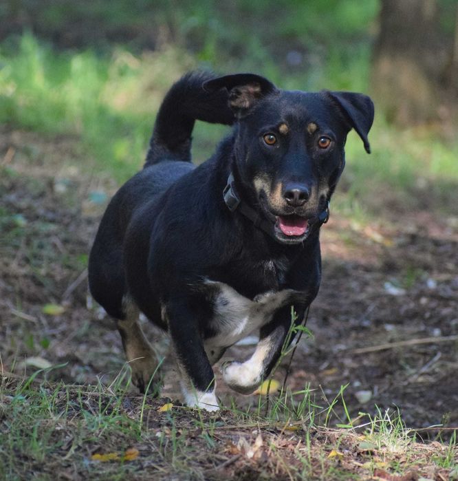 Chmiel czeka na rodzinę