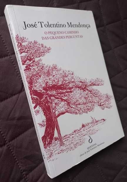 O Pequeno Caminho das Grandes Perguntas - José Tolentino Mendonça