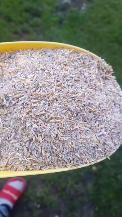 Pasza dla kur 15 kg.