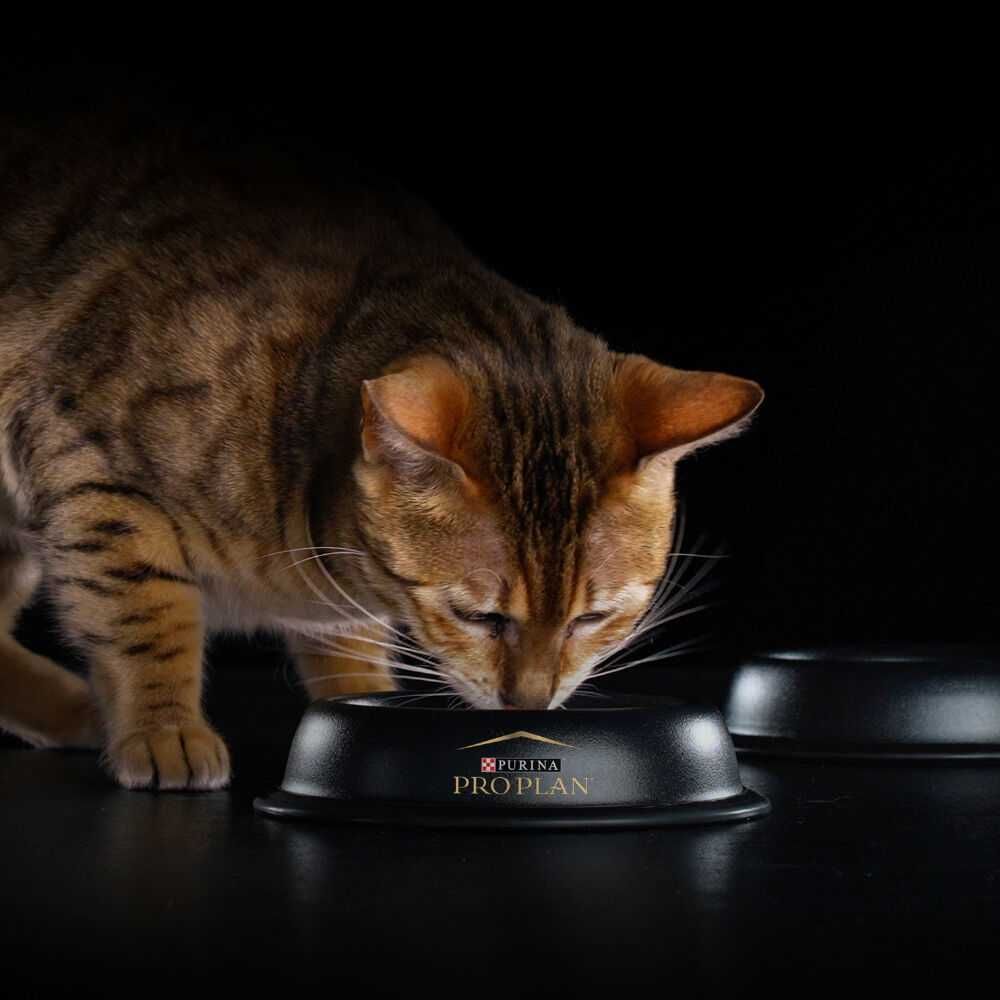 Корм Purina Pro Plan Sterilised для Стерилизованных Кошек 1,6 кг