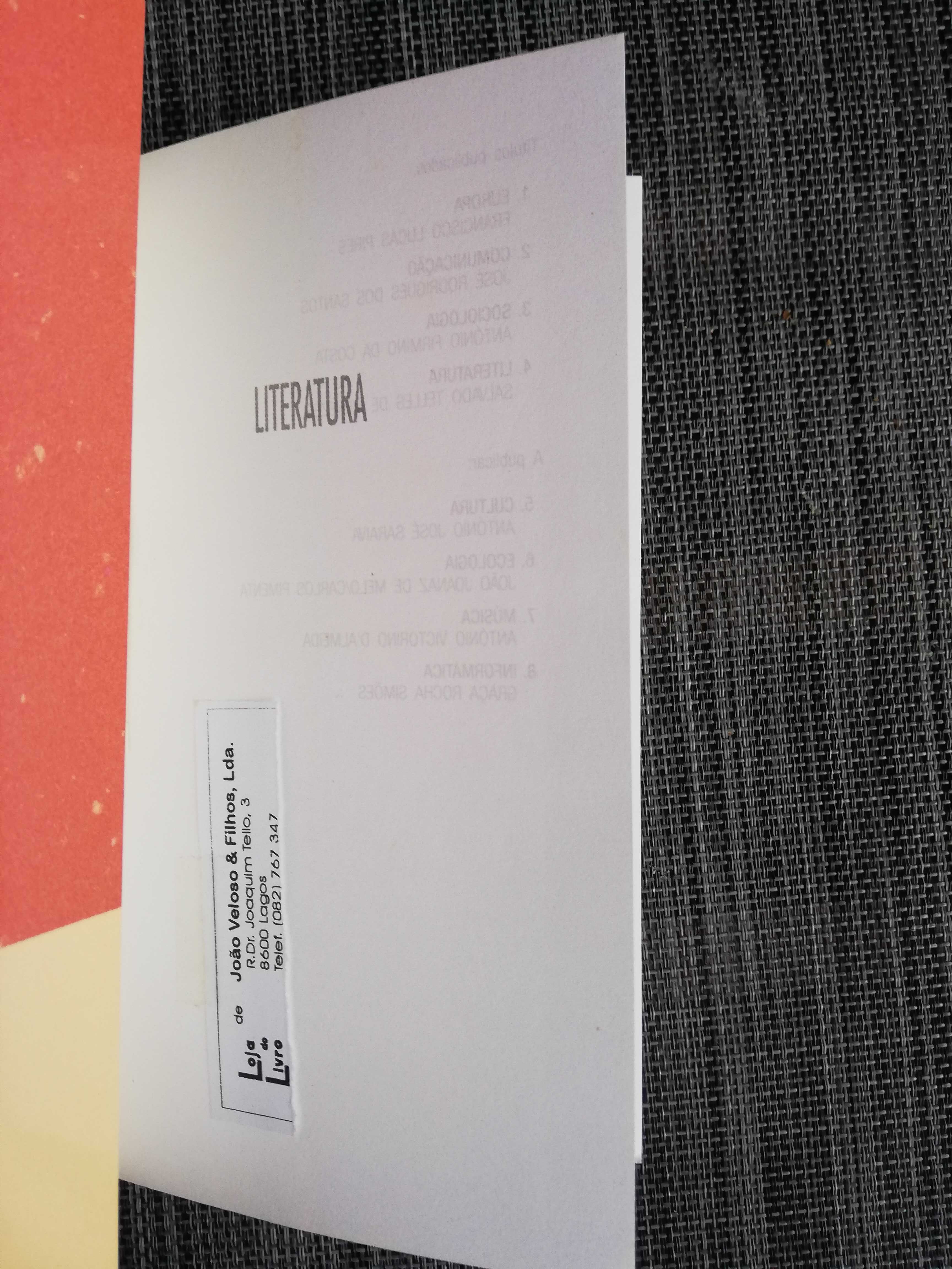 Literatura - Salvato Telles de Menezes (portes incluídos)