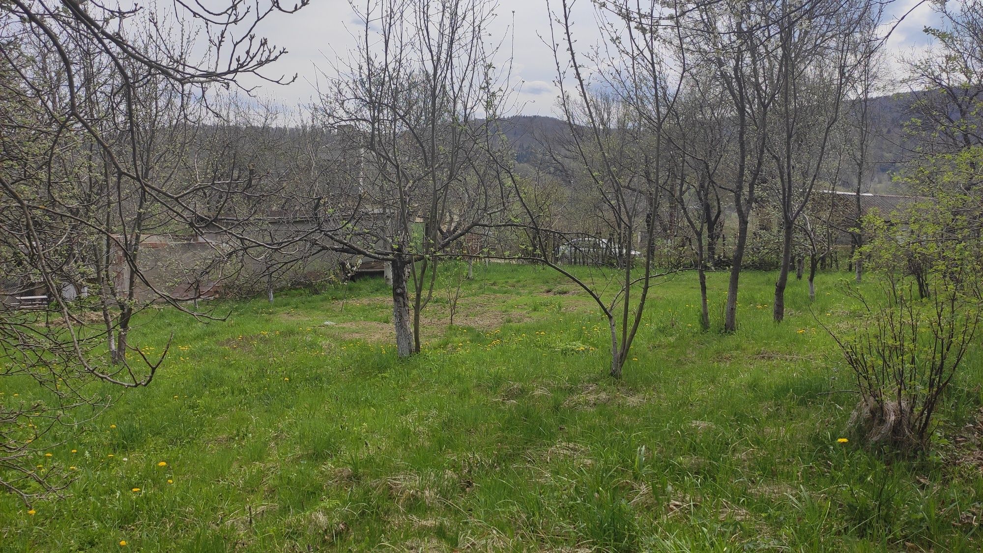 Земля для будівництва та садівництва.