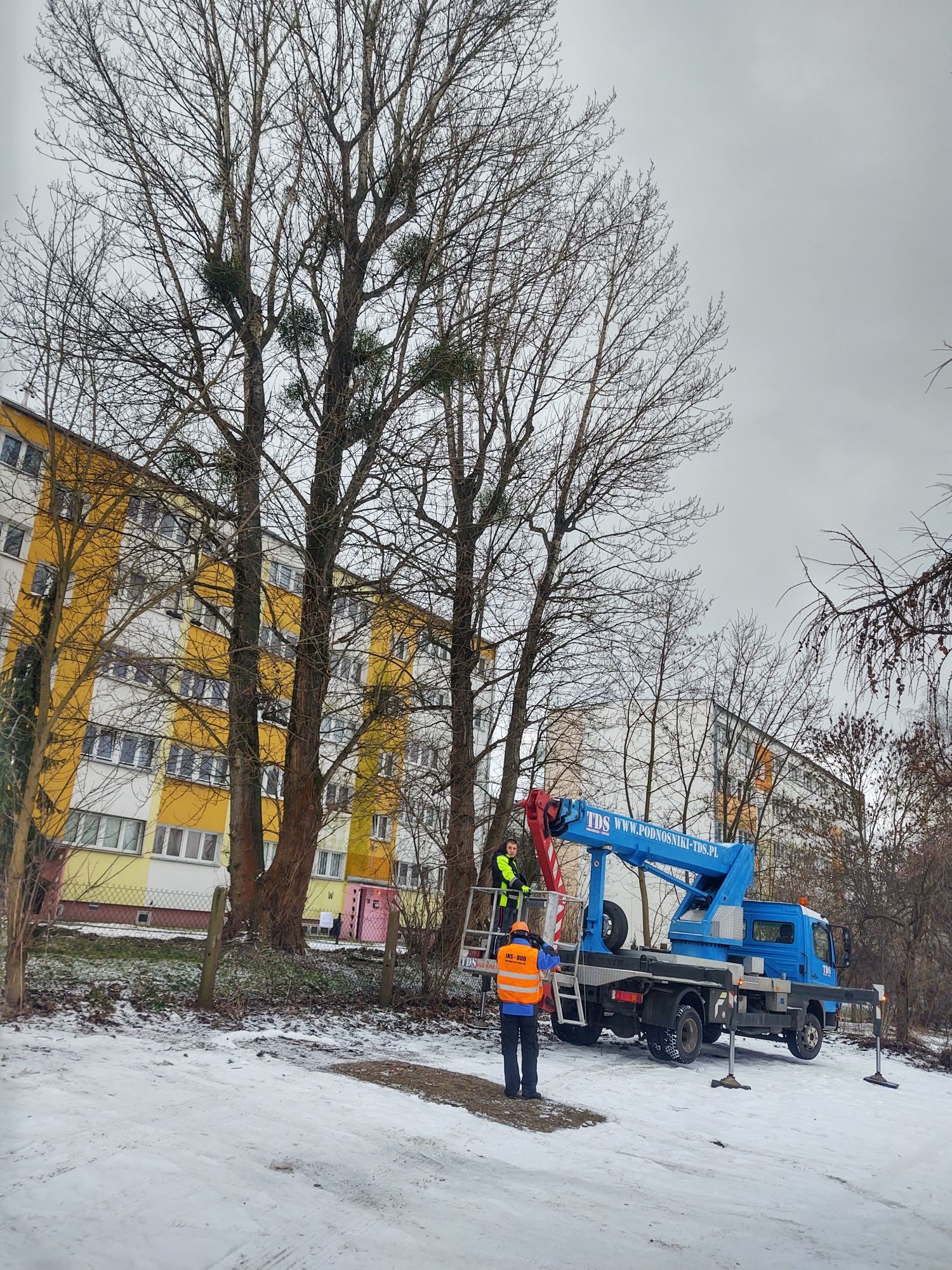 Wycinka drzew frezowanie pni rębak rozbiórki pełne o.c. f-vat