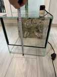 Terrarium 30cm +oswietlenie kameleon