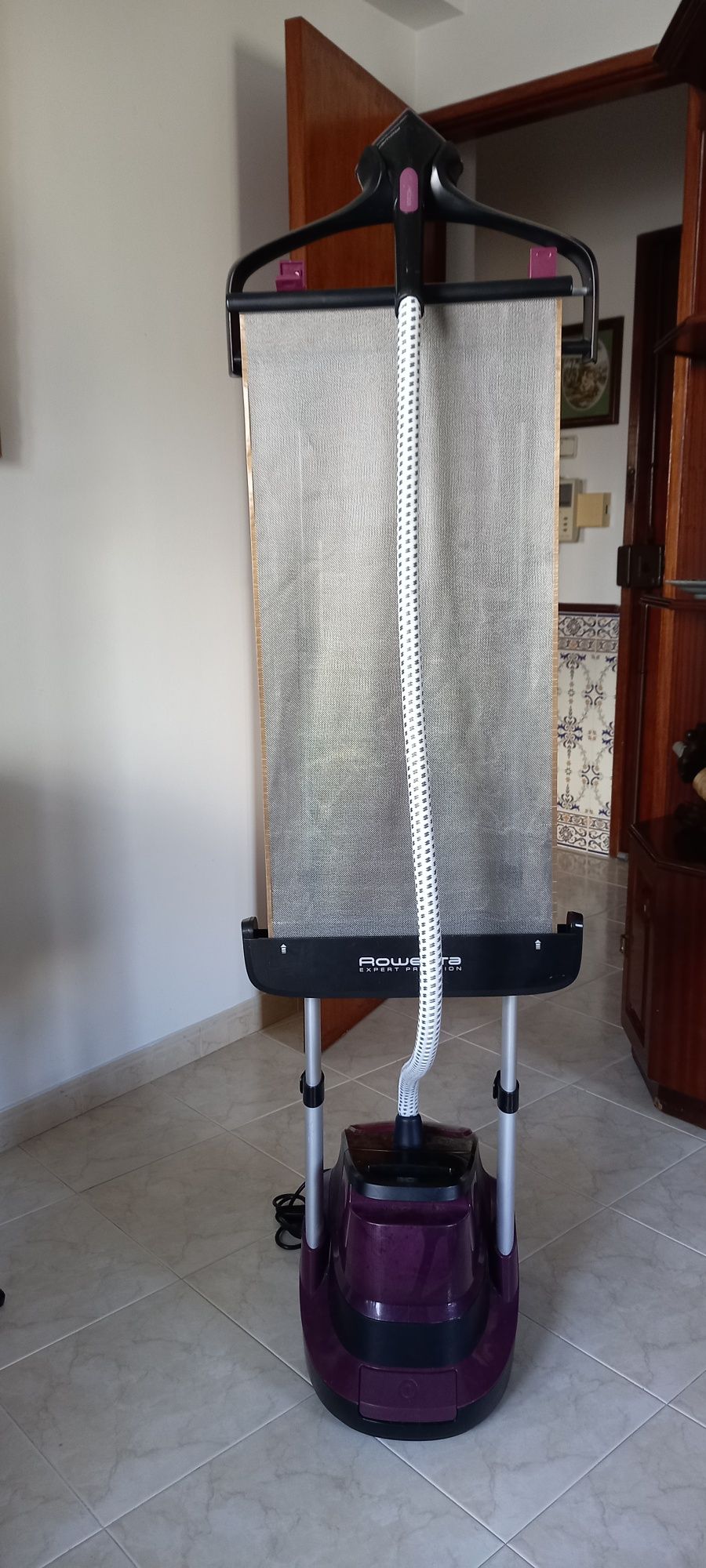 Ferro de vapor vertical Rowenta Expert Precision