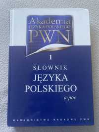 Słownik języka polskiego PWN