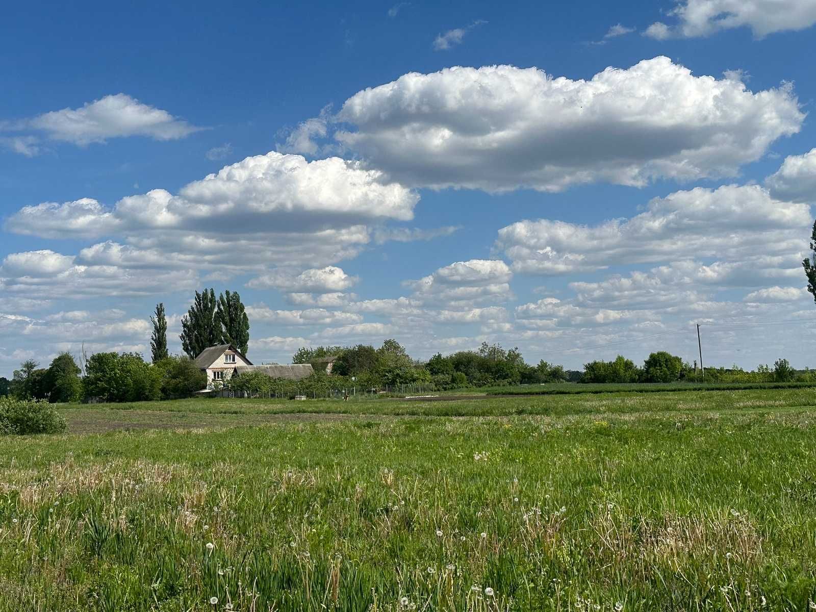 Продається земельна ділянка в Сосонці