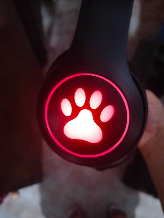 Auscultadores Bluetooth Gato