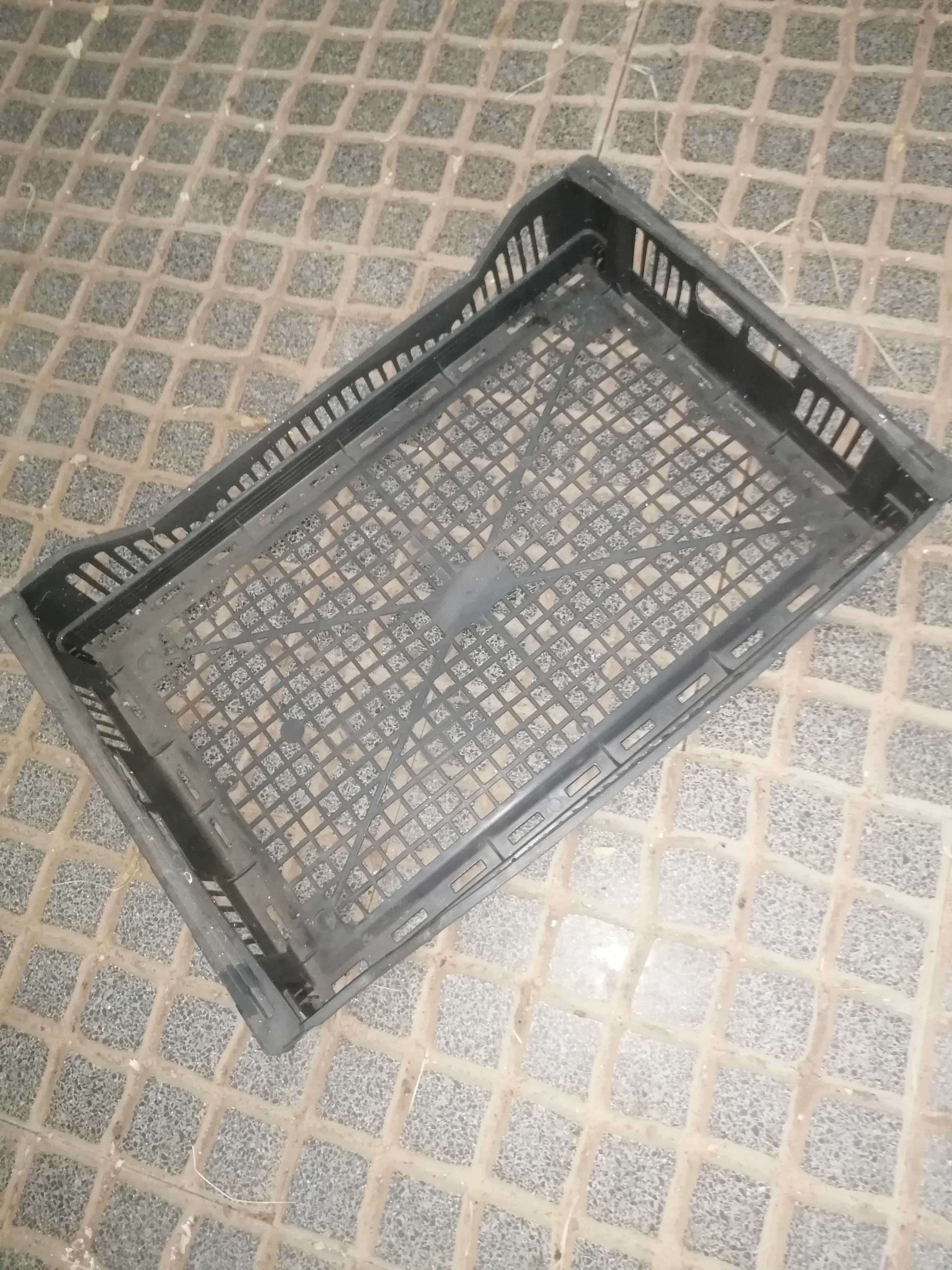 Caixas Plásticas Vazadas 60x40x10 cm – Ideais para Cogumelos, Frutos