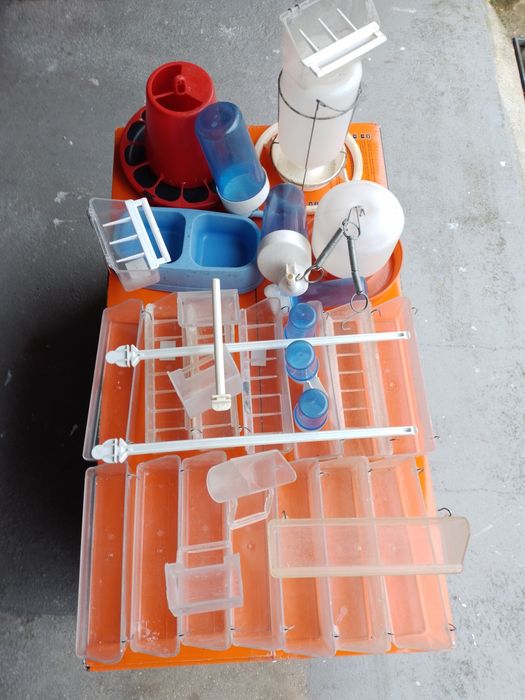 Comedouros e bebedouros