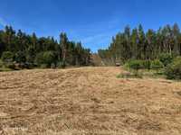 terreno com viabilidade construção e floresta