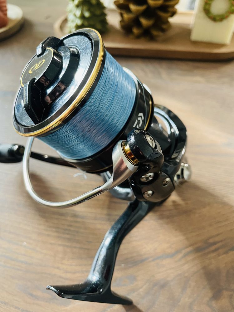 Daiwa Castizm 25 qd