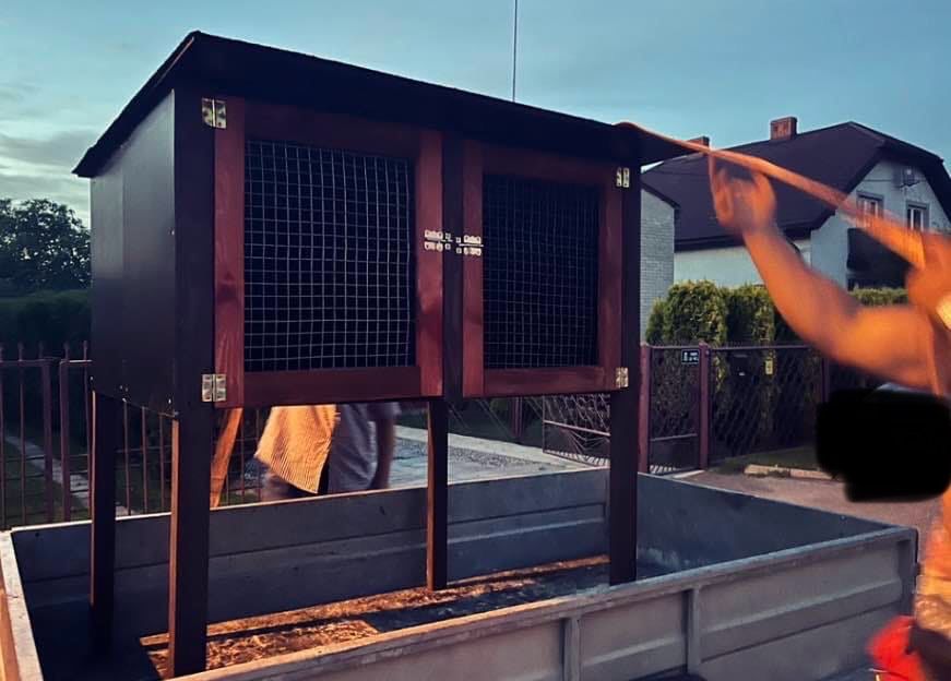 Klatka klatki dla królików