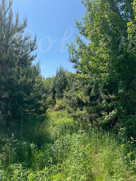 Продам Земельну Ділянку 10сотих,ЛІС,ОЗЕРО,середСОСЕН,закрита територія