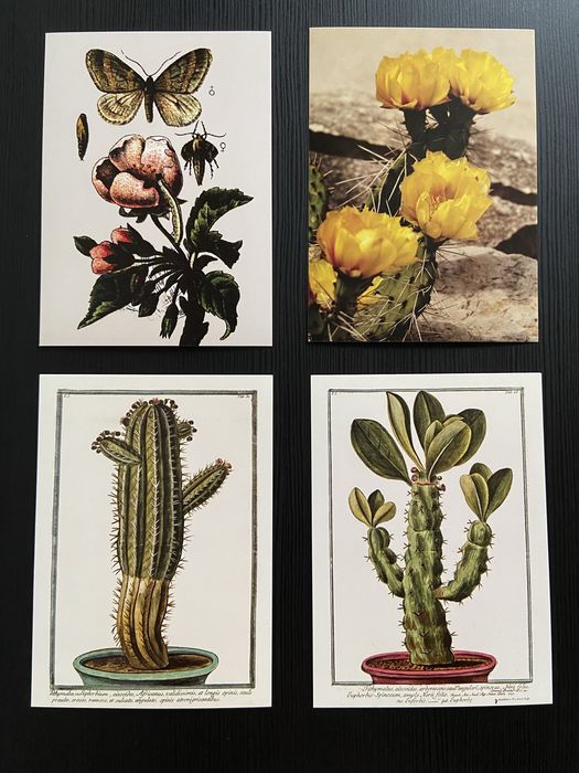 Grafiki, obrazki do ramek