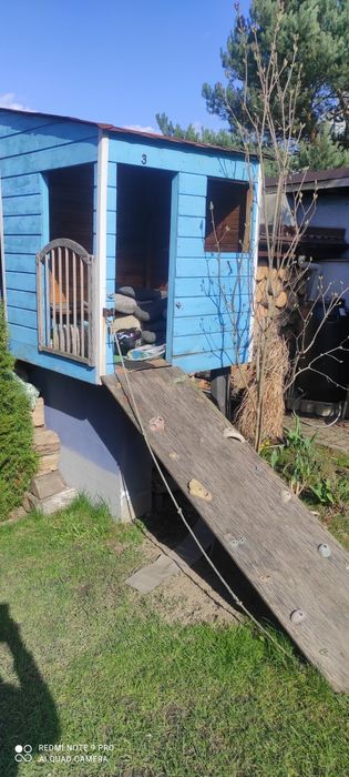 Domek dla dziecka, domek na drzewie