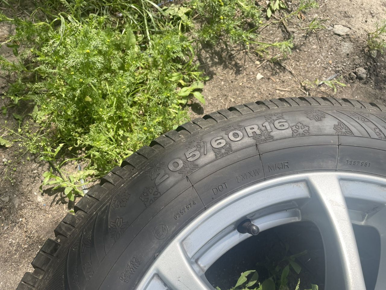 Зимова резина Dunlop sp winter sport  205/60R16