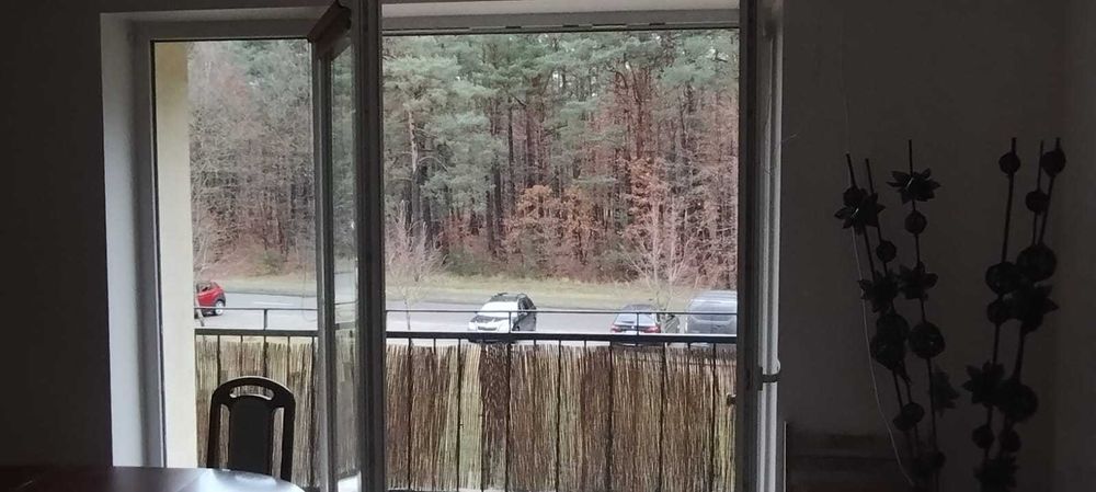 2 pokoje z widokiem na las