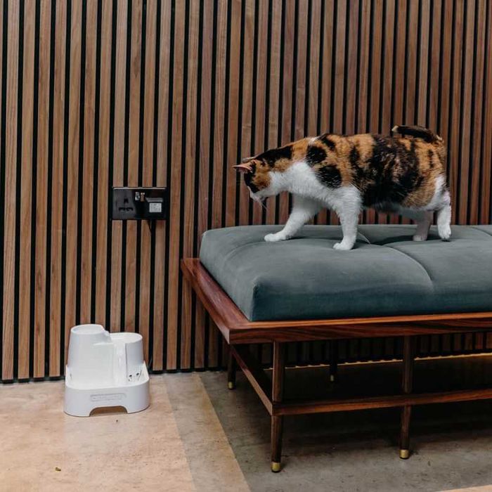 Cat Mate poidełko fontanna