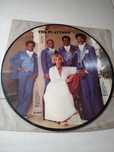 Disco de Vinil The platters