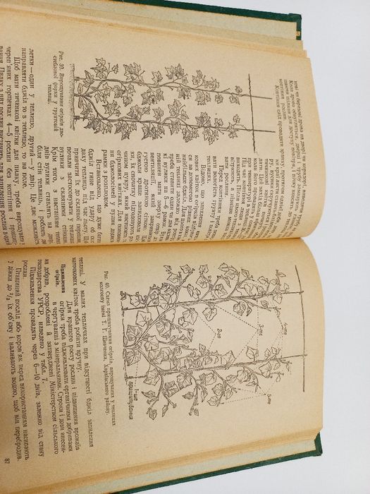 Підручник Овочівництво 1957 рік Д.П.Юхимчук