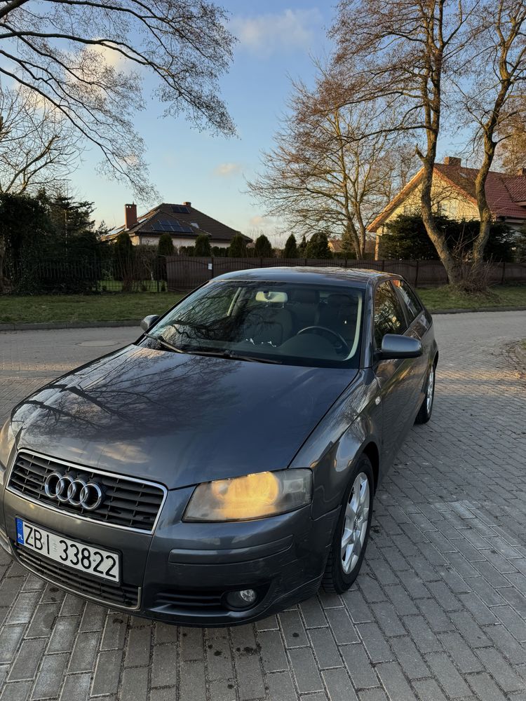 Audi A3 8P 2004r.