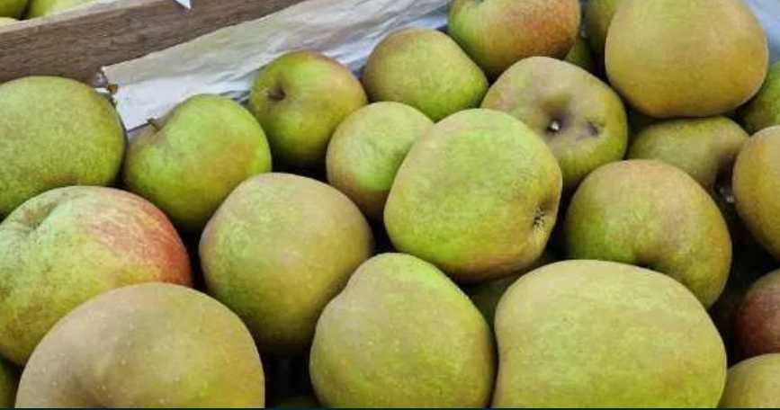 Skrzynka jabłek szara reneta 20kg przetwory ciasta własnego sadu