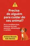 Cuida-se do seu animal.