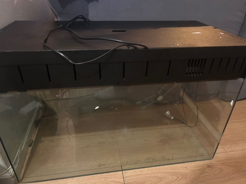 Terrário de Vidro com Tampa