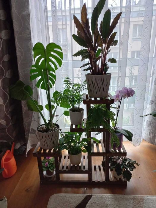 Kwietnik Drewniany Stojący Drabinka Regał Stojak Na Kwiaty Rośliny