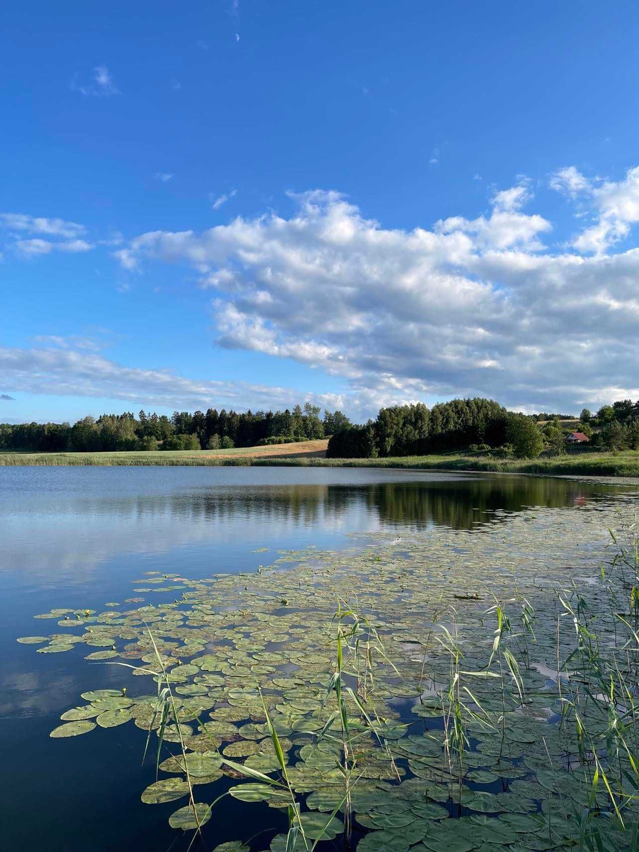 Dom z balią oraz linia brzegową  / 12 -14 osób / jeden dom na działce