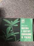 Drzewa i krzewy chronione w Polsce