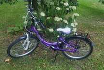 sprzedam rower Unibike Princess koła 24" Wrocław Karłowice