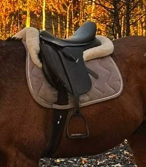 Siodło WINTEC 17,5 cala