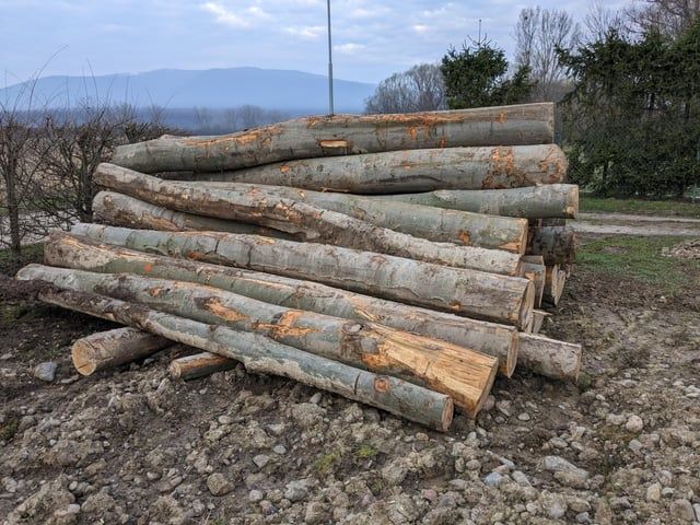 Дрова букові метрові гуртом по області дрова грабові кубанцями колоті