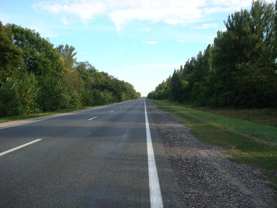 Велика Ділянка ЗЕЛЕНЬКИ ідеально під господарство або ферму, ТЕРМІНОВО