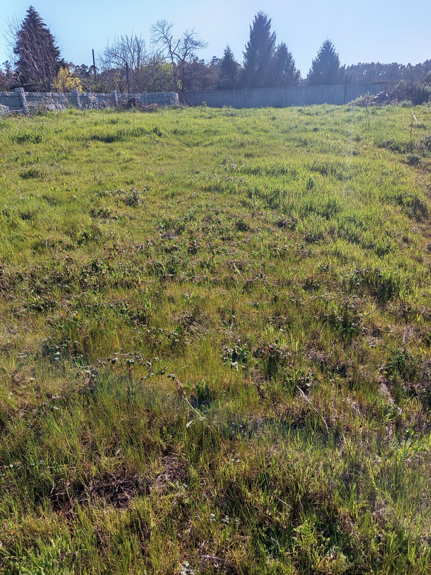 Vendo terreno para construção