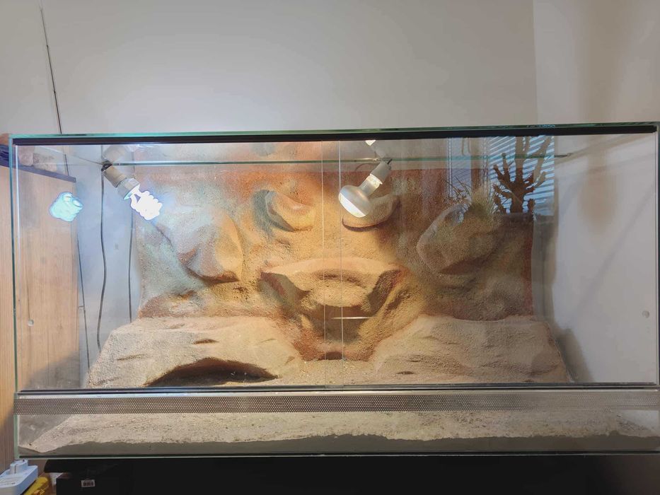 terrarium dla jaszczurki, wymiary 120x60x60