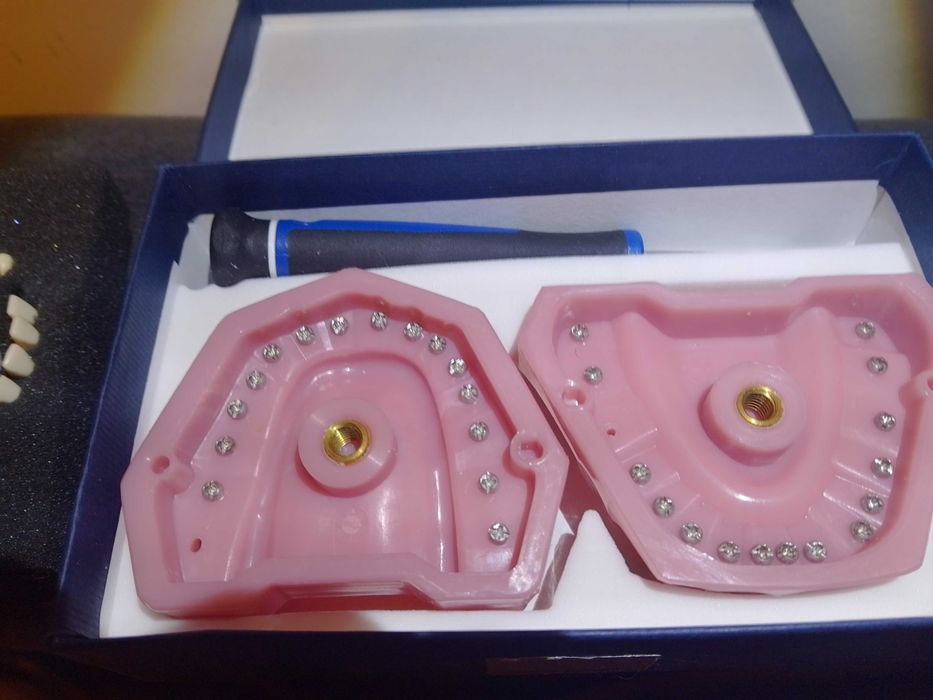 Frasaco A3 model uzębienia do fantomu