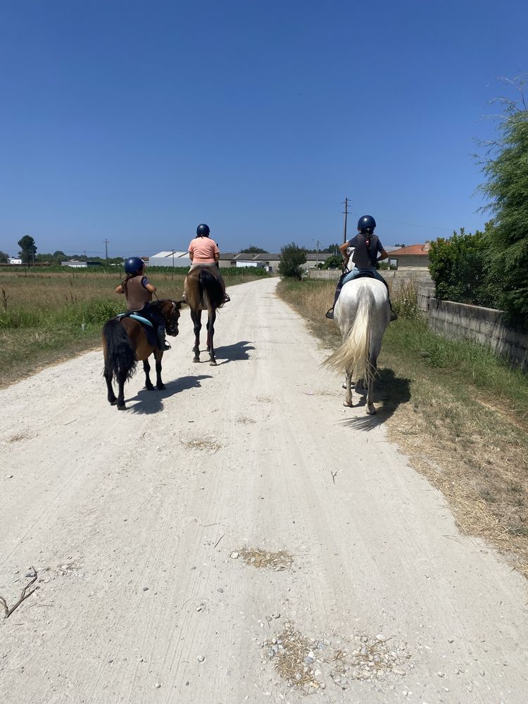 Batismos e passeios a cavalos
