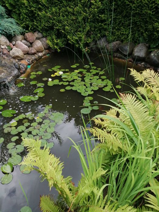 Działka ROD ,,POZIOMKA" domek ocieplony z poddaszem i tarasem