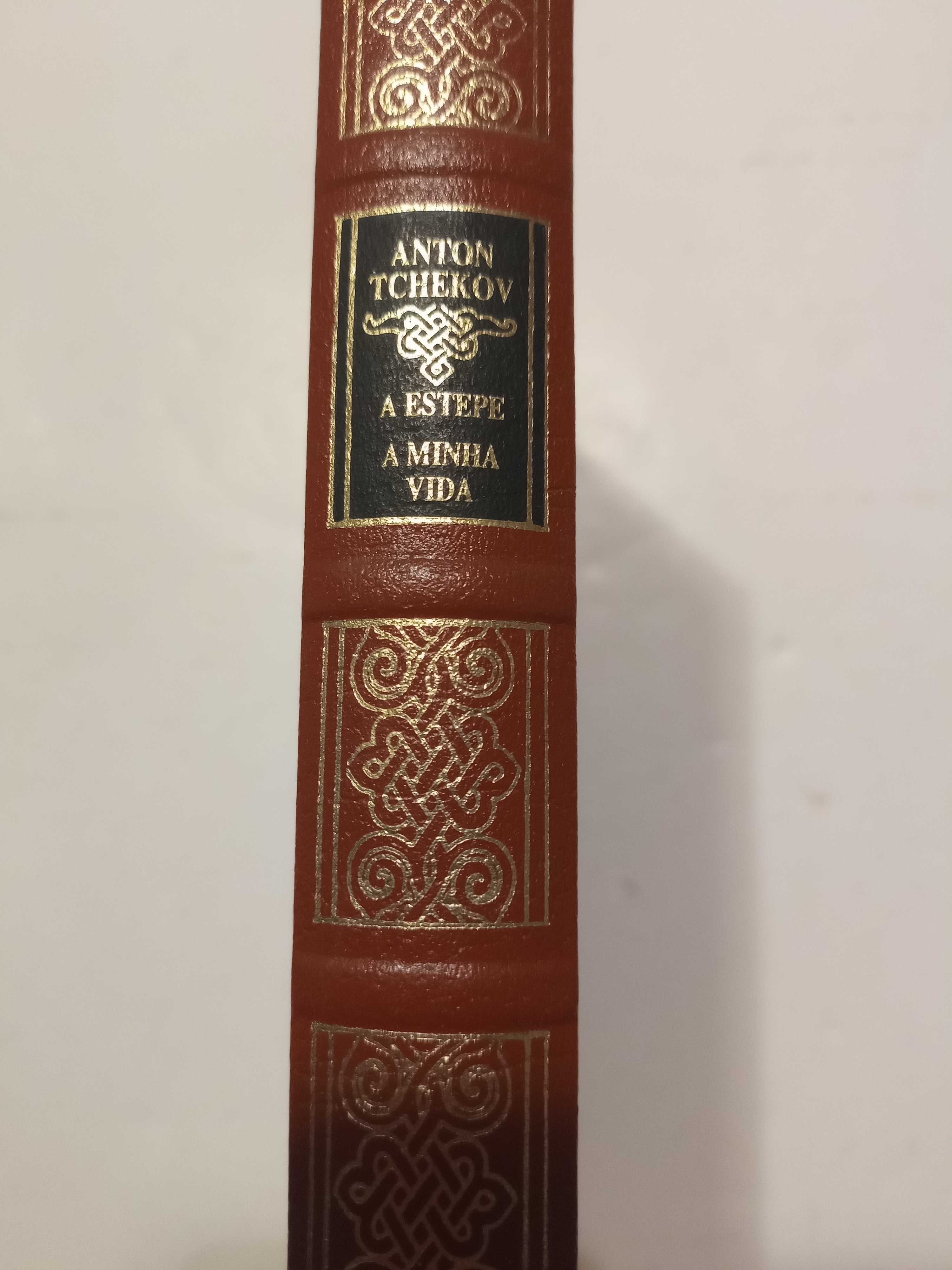 A Estepe & A Minha Vida de Anton Tchekhov