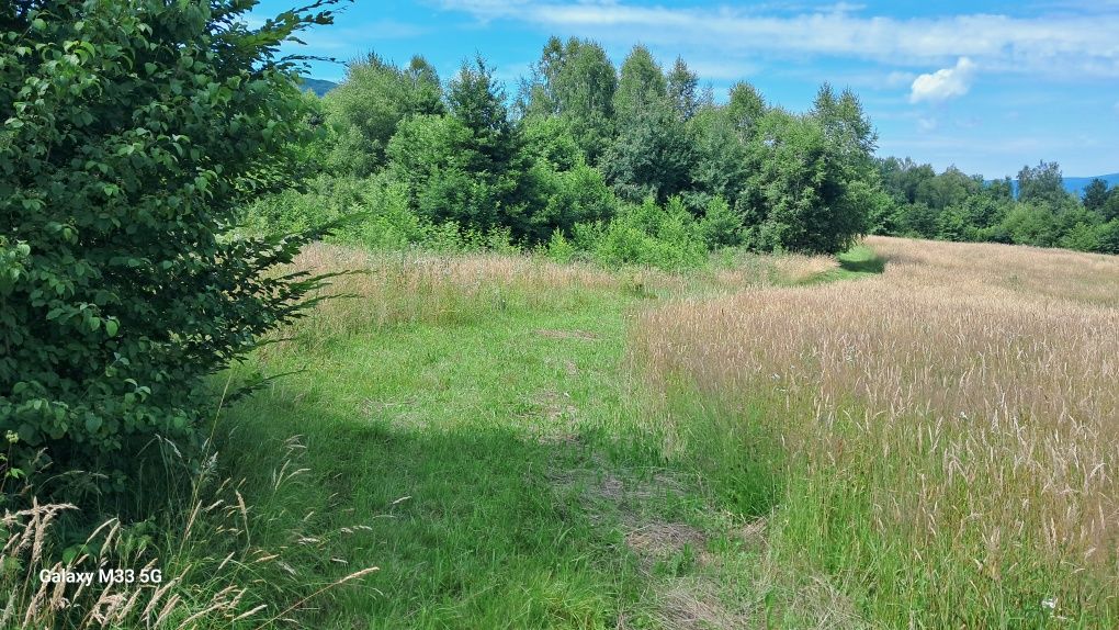 Земельна ділянка, для забудови