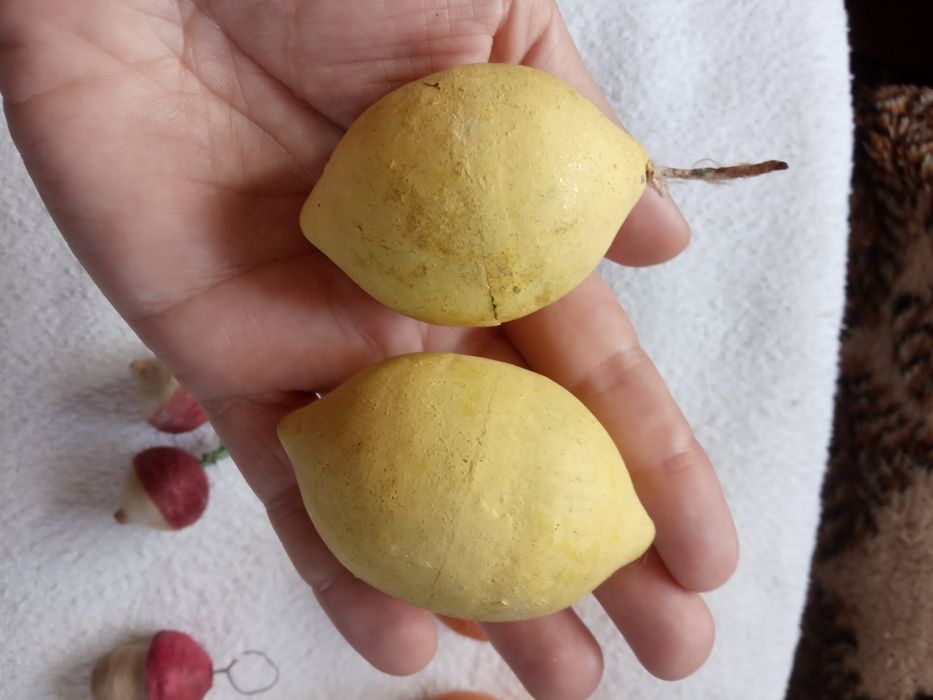 Советские елочные игрушки.