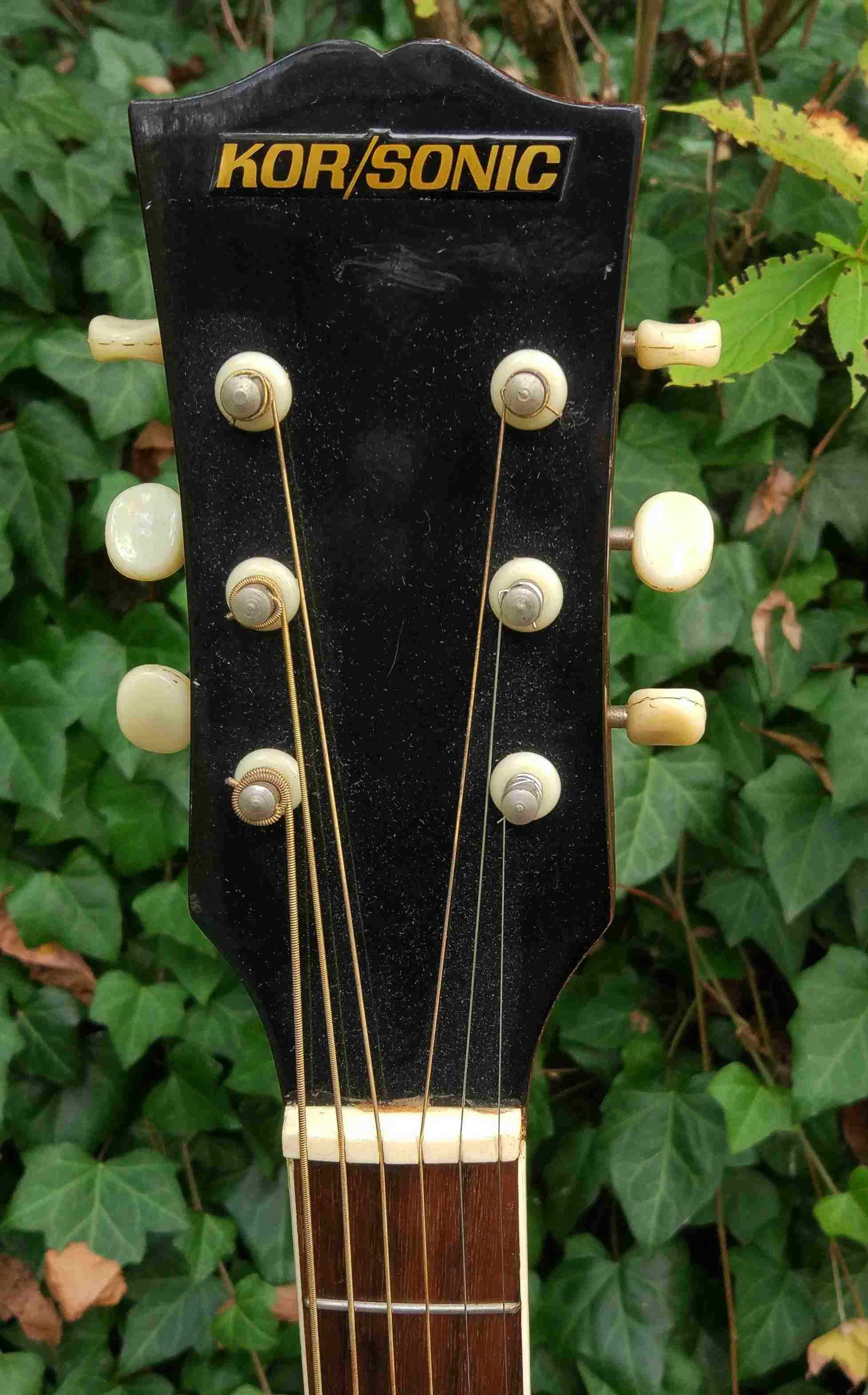 Gitara akustyczna Kor/Sonic- mane in Japan